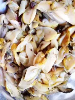 Make Smelt step 3