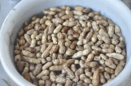 Make Salt-water peanuts step 0
