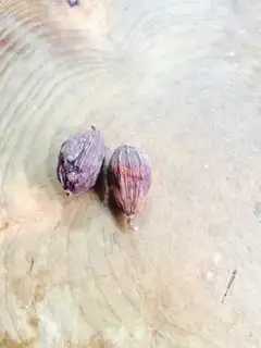 Make A beer duck step 2