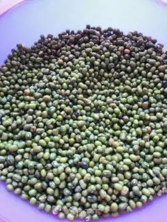 Make Soybeans step 1