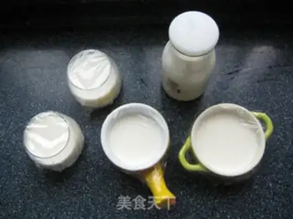 Make Homemade yogurt step 6