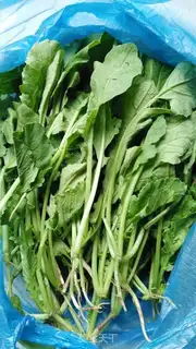 Make Rop leaves buns step 1