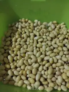Make Pumpkin step 1
