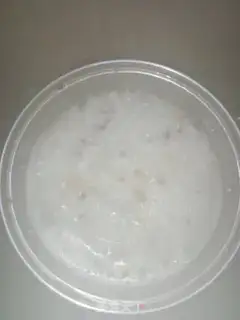 Make Shrimp, mush step 3