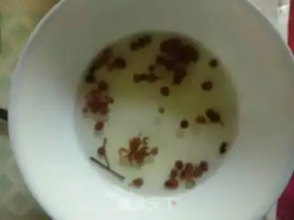 Make Miyagi tofu step 5