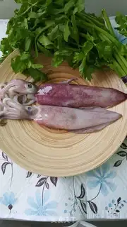 Make Celery is fired step 0