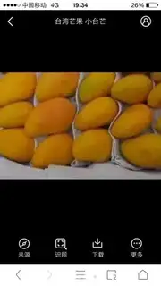 Make Mangomus step 0
