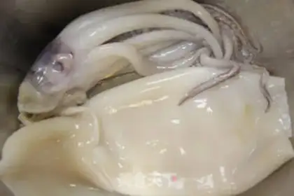 Make Roasted squid step 0