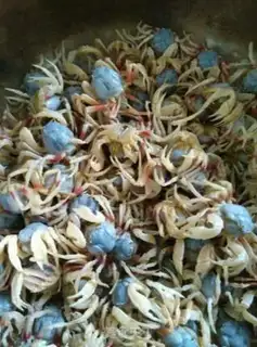 Make Crab juice step 0