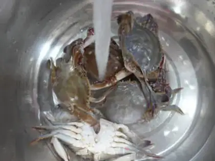 Make Crab step 1
