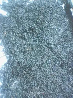 Make Peanut sesame mooncake step 3