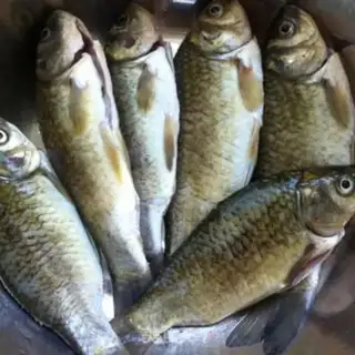Make Red-hot wild mackerel step 0