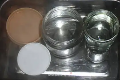Make Pistol-fruit berries step 1