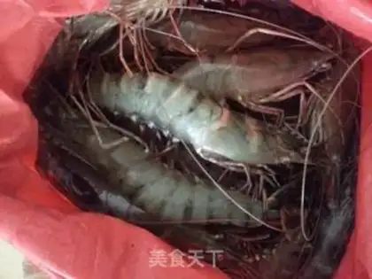 Make Shrimp step 0