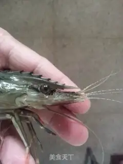 Make Shrimp step 2