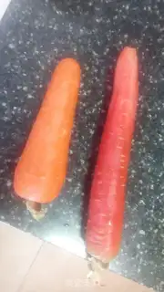 Make Double radish step 0