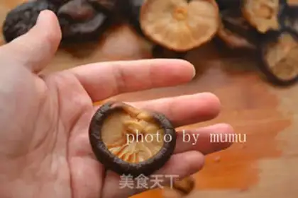 Make A mushroom step 0