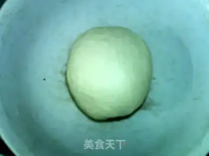 Make The wild bacteria Shabata step 2