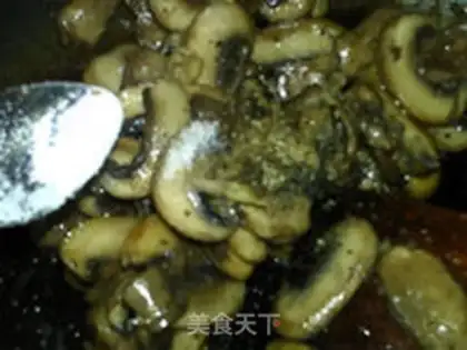 Make The wild bacteria Shabata step 12