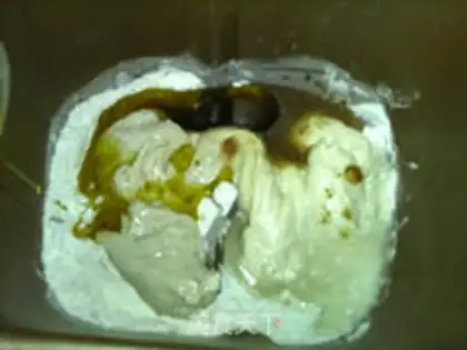 Make The wild bacteria Shabata step 17