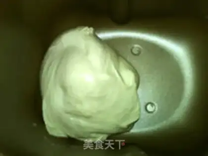 Make The wild bacteria Shabata step 19