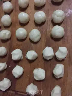 Make Coconut step 1