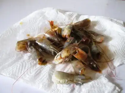 Make Homemade shrimp oil step 1