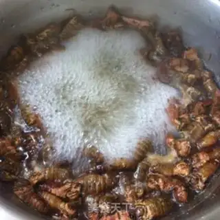 Make The dry northeast moth step 1