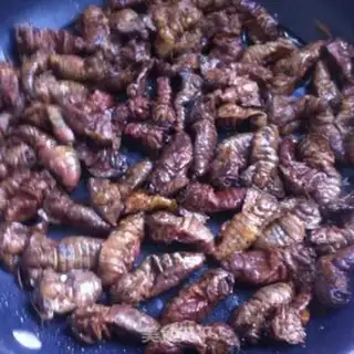 Make The dry northeast moth step 3