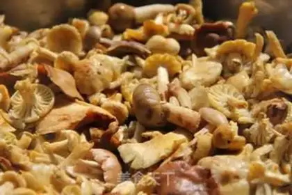 Make Fried mushrooms step 0