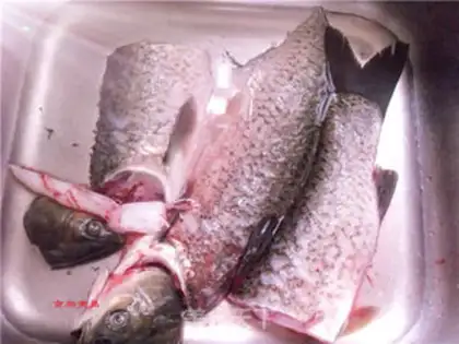 Make Coughfish step 0