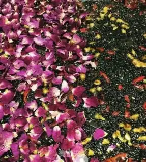 Make Rose petals step 2