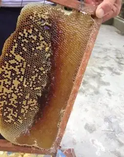 Make Honey step 1