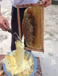 Make Honey step 2