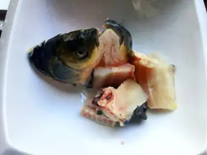 Make Fish tofu soup step 1