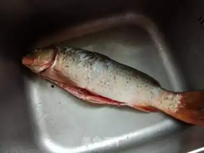 Make Red-burned carp tail step 0