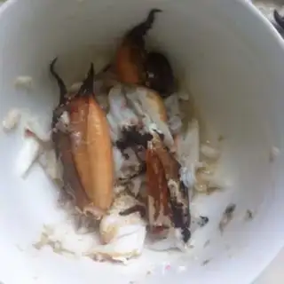 Make Crab steamed eggs step 2