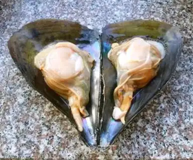 Make Garlic fan steam tape step 1