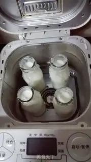 Make Homemade yogurt step 6