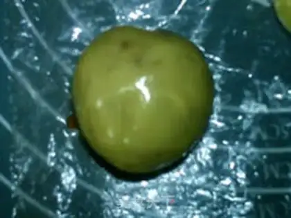 Make A broad guacamole step 24