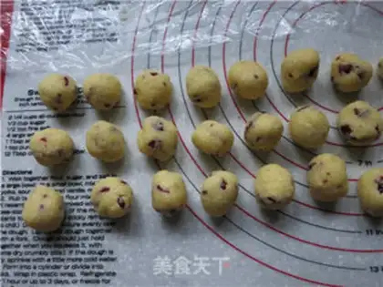 Make Coconut step 22