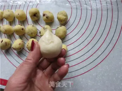 Make Coconut step 27