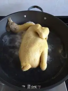 Make The yellow and white chicken step 2