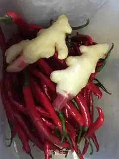 Make Homemade peppers step 0