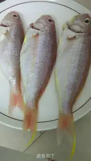 Make Red Shirt Fish step 0