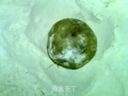 Make A broad pepper saline moon cake step 15