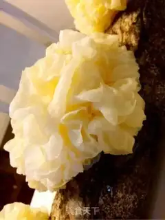 Make Autumn white pulmonary dessert step 2