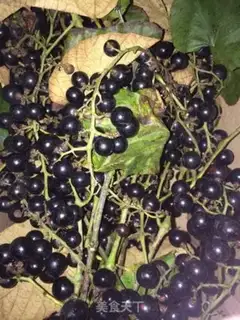Make Wine step 0