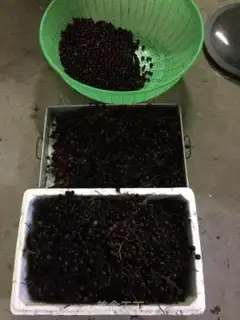 Make Wine step 1