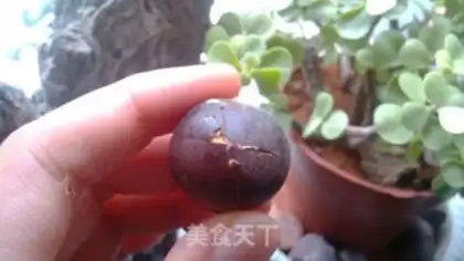 Make Steam chestnut step 1